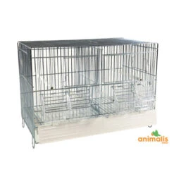 Cages Domus-Molinari 45cm Blanche