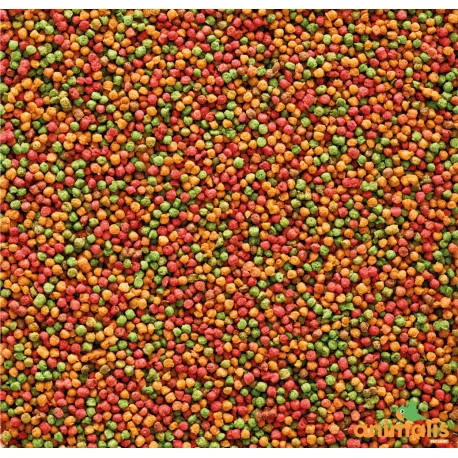 VERSELE-LAGA Nutribird B14 3kg – Image 2